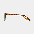St Croix | Safari