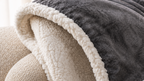 The Cozy Premium Heated Blanket – Classic Edition