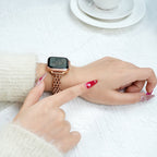 Apple Watch Bracelet in Stainless Steel, Braided Byzantine Mesh, Clasp Fastening, Coranie Model