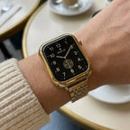 Apple Watch bracelet in stainless steel, five-row mesh with integrated case, Payda model