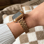 Apple Watch bracelet in stainless steel, five-row mesh with integrated case, Payda model