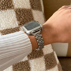 Apple Watch bracelet in stainless steel, five-row mesh with integrated case, Payda model